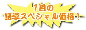 1̌wXyViI